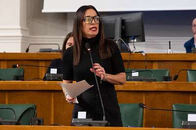 CONSIGLIO COMUNALE DI FERRARA