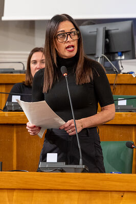 CONSIGLIO COMUNALE DI FERRARA