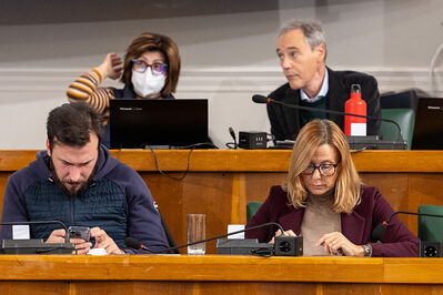 CONSIGLIO COMUNALE DI FERRARA