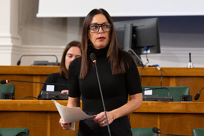 CONSIGLIO COMUNALE DI FERRARA