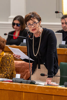 CONSIGLIO COMUNALE DI FERRARA