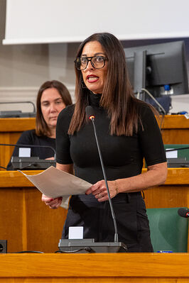 CONSIGLIO COMUNALE DI FERRARA