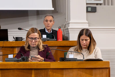 CONSIGLIO COMUNALE DI FERRARA