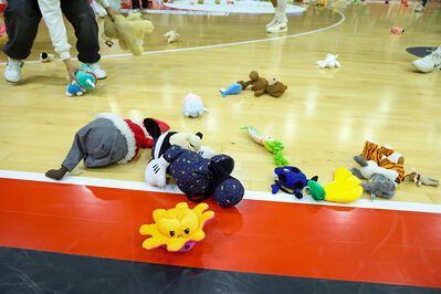 SELLA CENTO - FORTITUDO BOLOGNA