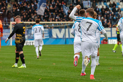 SPAL ARS ET LABOR - MESOLA