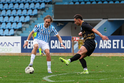 SPAL ARS ET LABOR - MESOLA