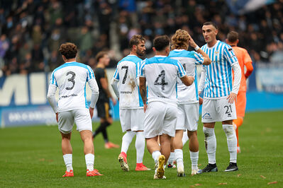 SPAL ARS ET LABOR - MESOLA