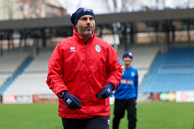 SPAL ARS ET LABOR - MESOLA