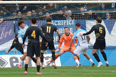 SPAL ARS ET LABOR - MESOLA