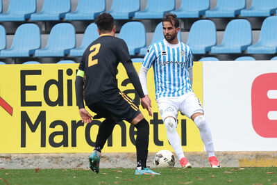 SPAL ARS ET LABOR - MESOLA
