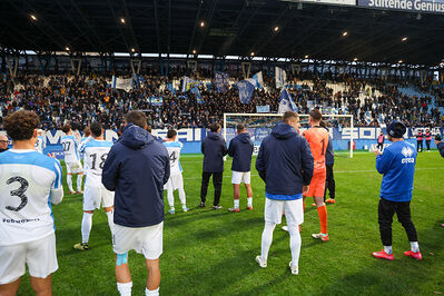 SPAL ARS ET LABOR - MESOLA