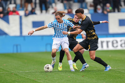 SPAL ARS ET LABOR - MESOLA