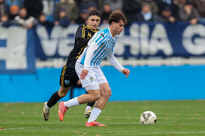 SPAL ARS ET LABOR - MESOLA