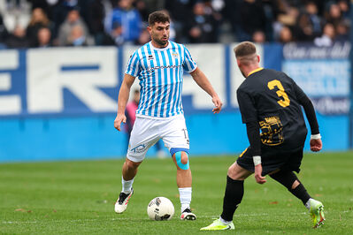 SPAL ARS ET LABOR - MESOLA