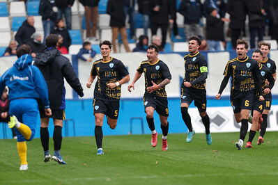 SPAL ARS ET LABOR - MESOLA