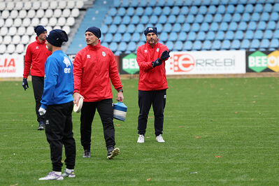 SPAL ARS ET LABOR - MESOLA