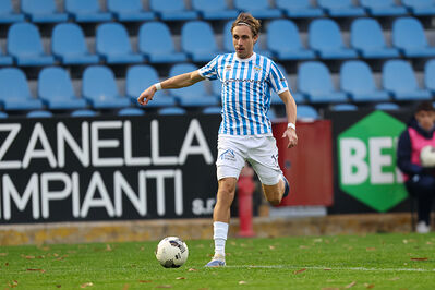 SPAL ARS ET LABOR - MESOLA