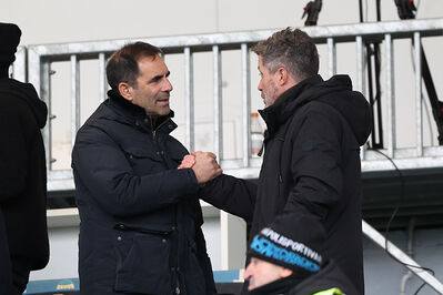 SPAL ARS ET LABOR - MESOLA