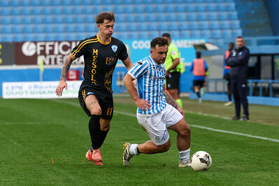 SPAL ARS ET LABOR - MESOLA