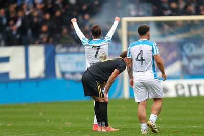 SPAL ARS ET LABOR - MESOLA