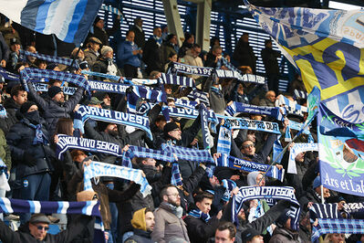 SPAL ARS ET LABOR - MESOLA