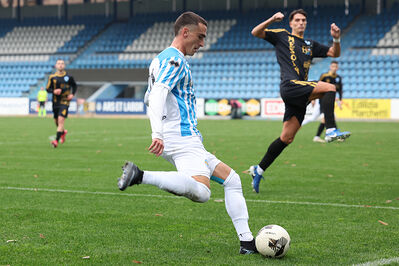 SPAL ARS ET LABOR - MESOLA