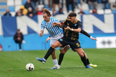 SPAL ARS ET LABOR - MESOLA