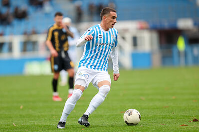 SPAL ARS ET LABOR - MESOLA