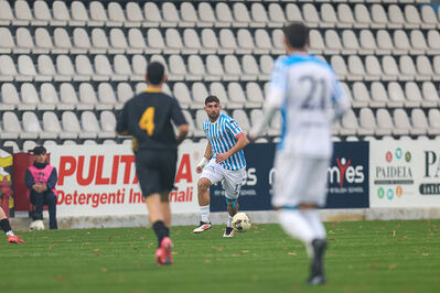 SPAL ARS ET LABOR - MESOLA