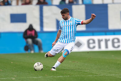 SPAL ARS ET LABOR - MESOLA