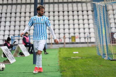 SPAL ARS ET LABOR - MESOLA