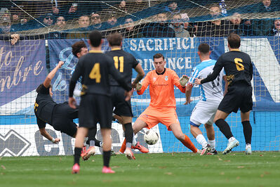 SPAL ARS ET LABOR - MESOLA