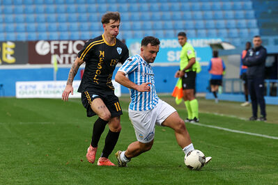 SPAL ARS ET LABOR - MESOLA