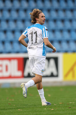 SPAL ARS ET LABOR - MESOLA