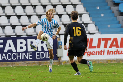 SPAL ARS ET LABOR - MESOLA