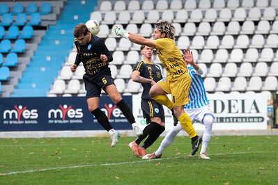 SPAL ARS ET LABOR - MESOLA