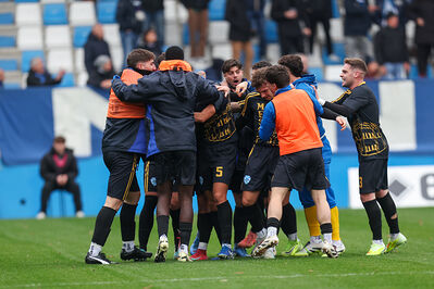 SPAL ARS ET LABOR - MESOLA