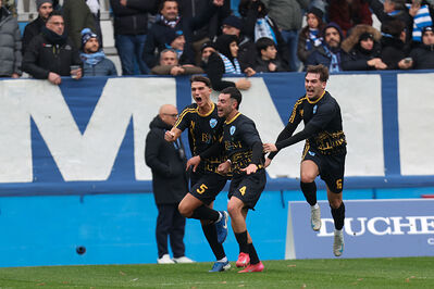 SPAL ARS ET LABOR - MESOLA