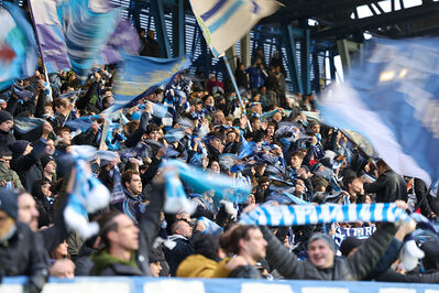 SPAL ARS ET LABOR - MESOLA