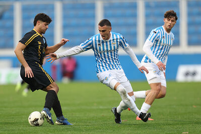 SPAL ARS ET LABOR - MESOLA