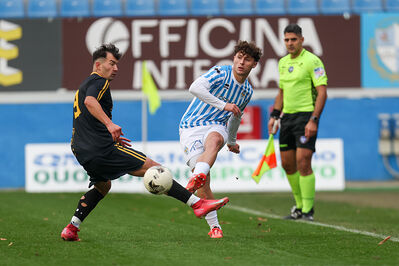 SPAL ARS ET LABOR - MESOLA