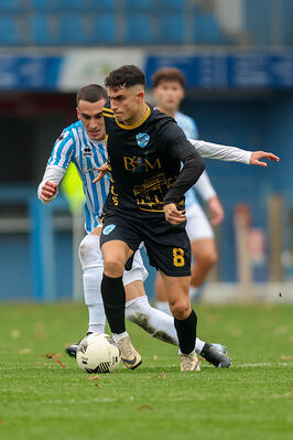 SPAL ARS ET LABOR - MESOLA