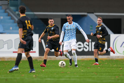 SPAL ARS ET LABOR - MESOLA