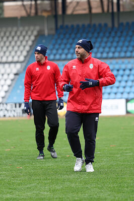 SPAL ARS ET LABOR - MESOLA