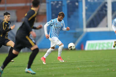 SPAL ARS ET LABOR - MESOLA