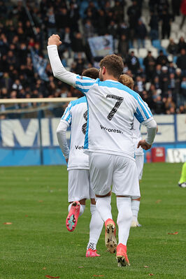 SPAL ARS ET LABOR - MESOLA