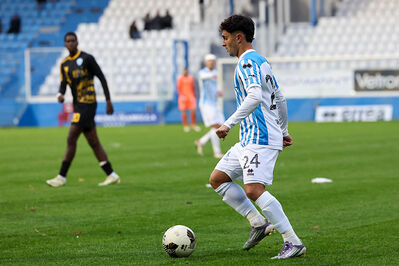 SPAL ARS ET LABOR - MESOLA