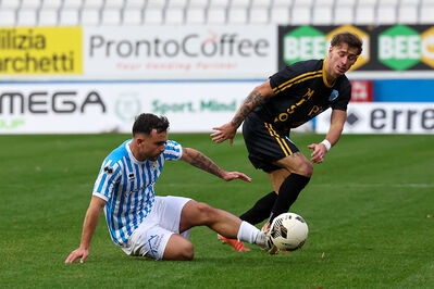 SPAL ARS ET LABOR - MESOLA