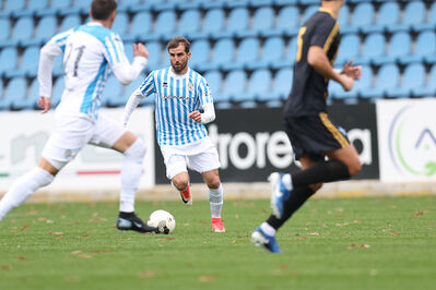 SPAL ARS ET LABOR - MESOLA