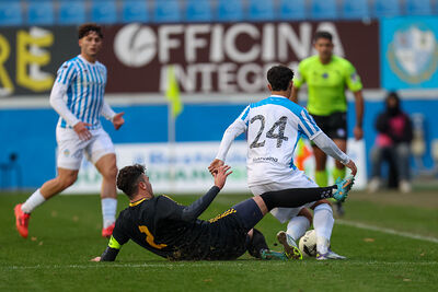 SPAL ARS ET LABOR - MESOLA